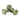 Olive green dumbbell-shaped foam massager for muscle relaxation, soft EVA material